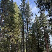 Review photo of Big River Campground by Marcus H., August 27, 2026
