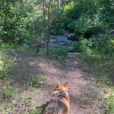 Review photo of Billy Fields Forest Camp by Stephanie F., June 22, 2025