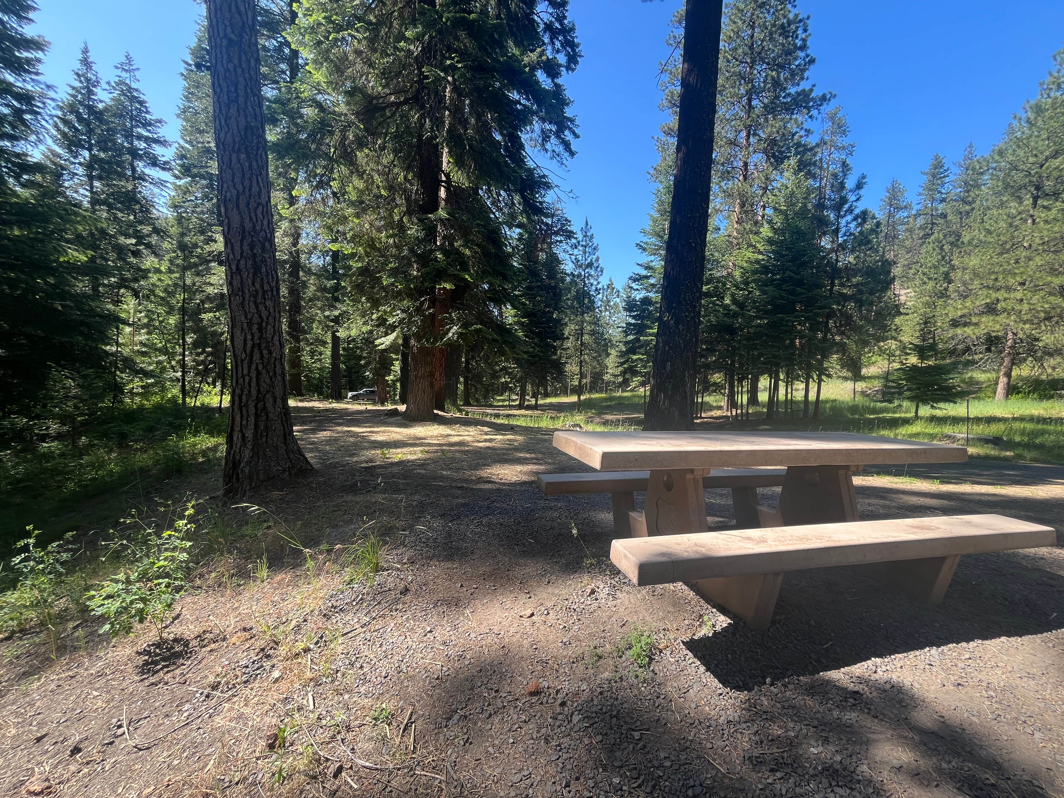Camper-submitted photo at Billy Fields Forest Camp near Kimberly, OR