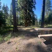 Review photo of Billy Fields Forest Camp by Stephanie F., June 22, 2025