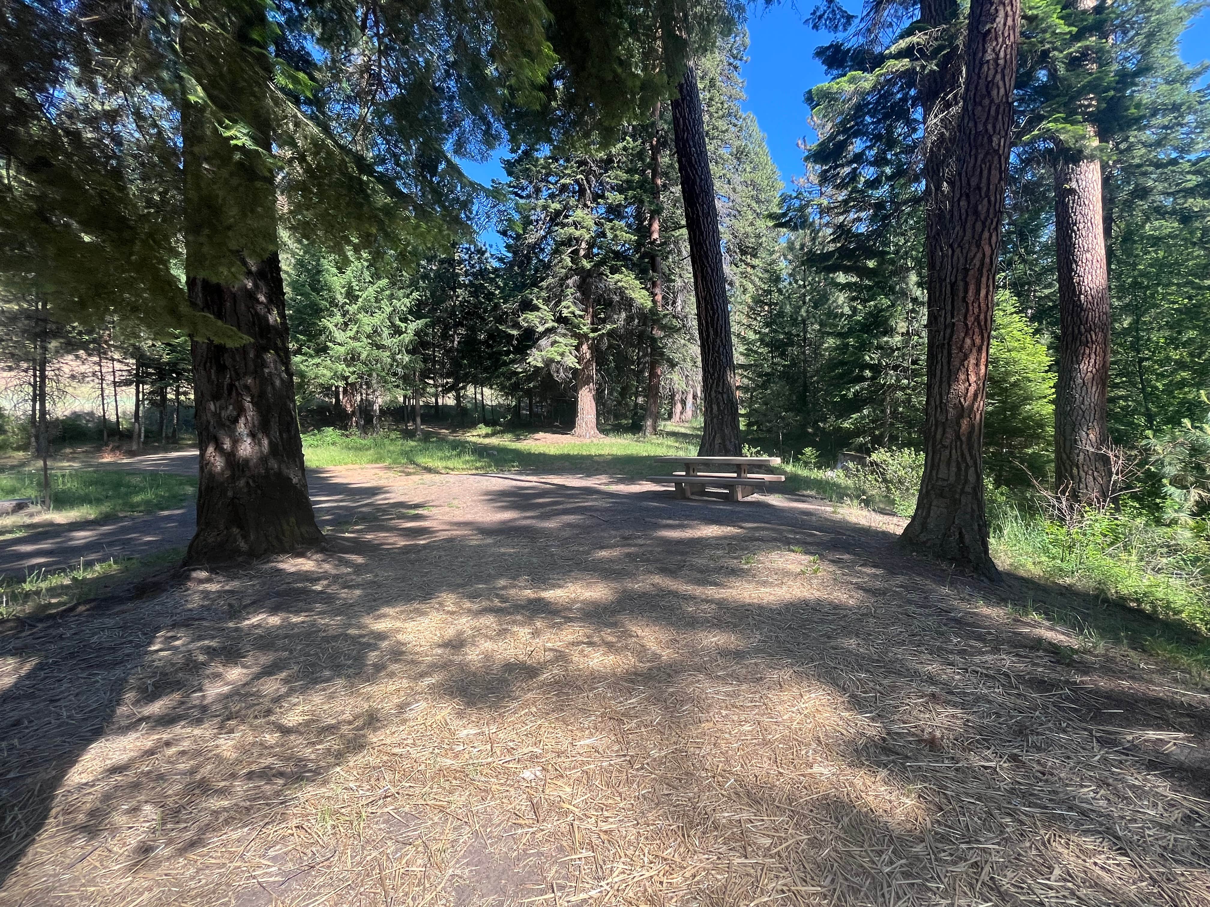 Camper-submitted photo at Billy Fields Forest Camp near Kimberly, OR