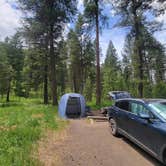 Review photo of Bird Track Springs by Joy L., June 26, 2026