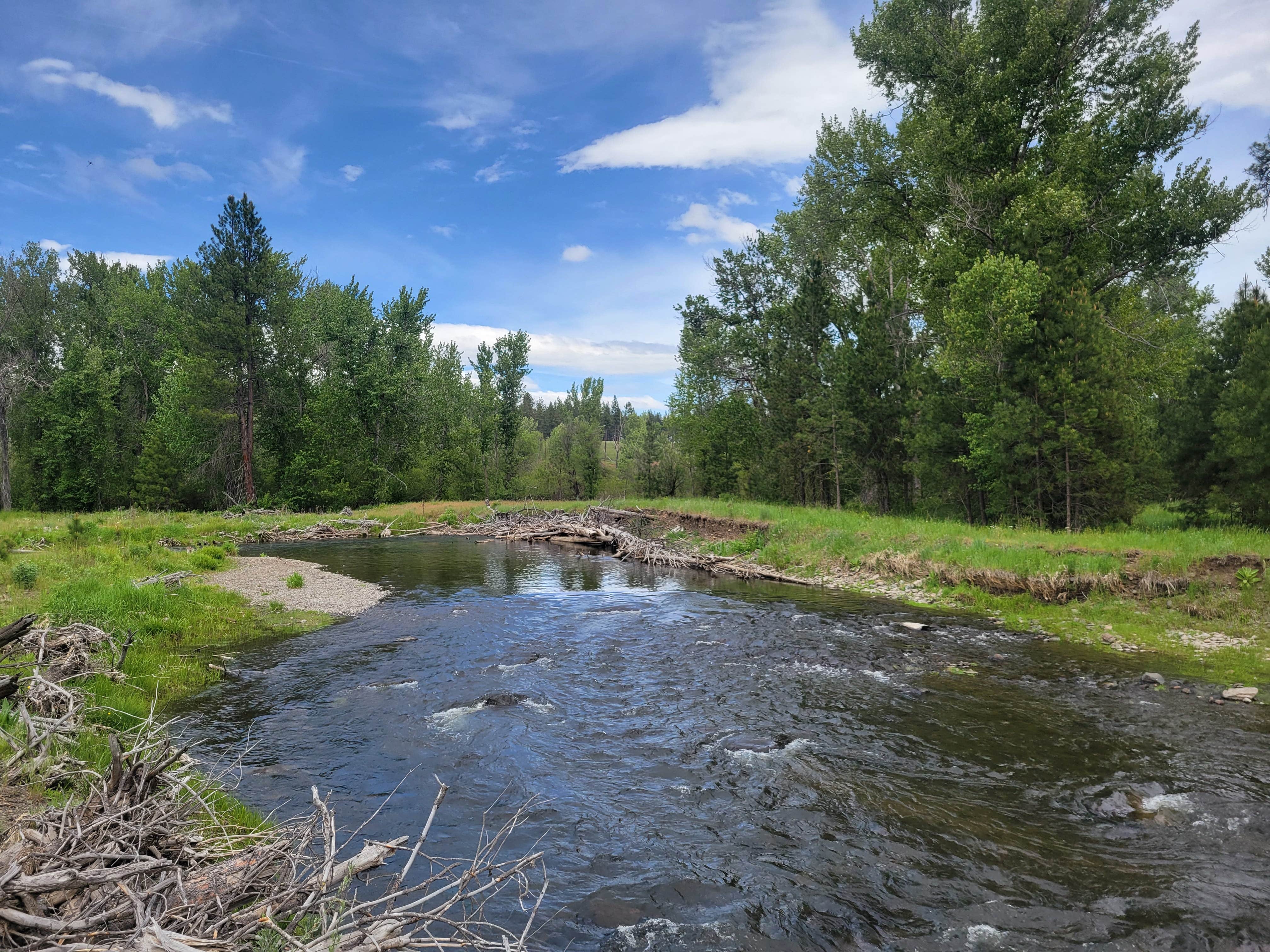 Camper-submitted photo at Bird Track Springs near La Grande, OR