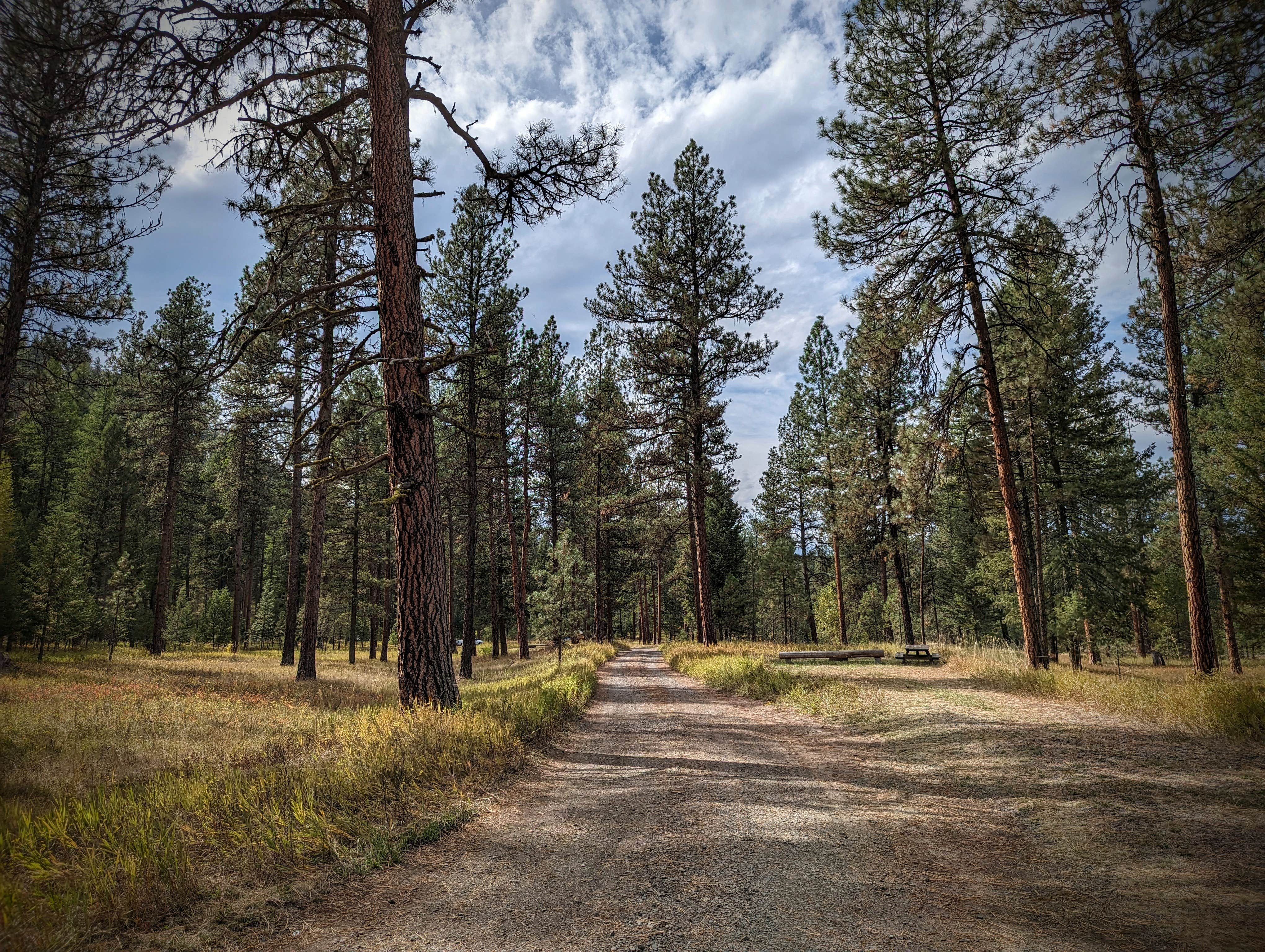 Camper-submitted photo at Bird Track Springs near Meacham, OR