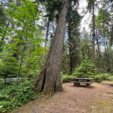 Review photo of Black Canyon Campground - Willamette NF by Kiri D., June 24, 2024