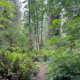 Review photo of Black Canyon Campground - Willamette NF by Kiri D., June 24, 2024