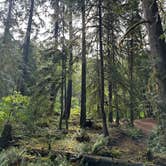 Review photo of Black Canyon Campground - Willamette NF by Kiri D., June 24, 2024