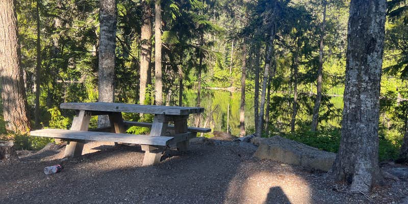 Camper submitted image from Black Lake Campground—Mount Hood National Forest