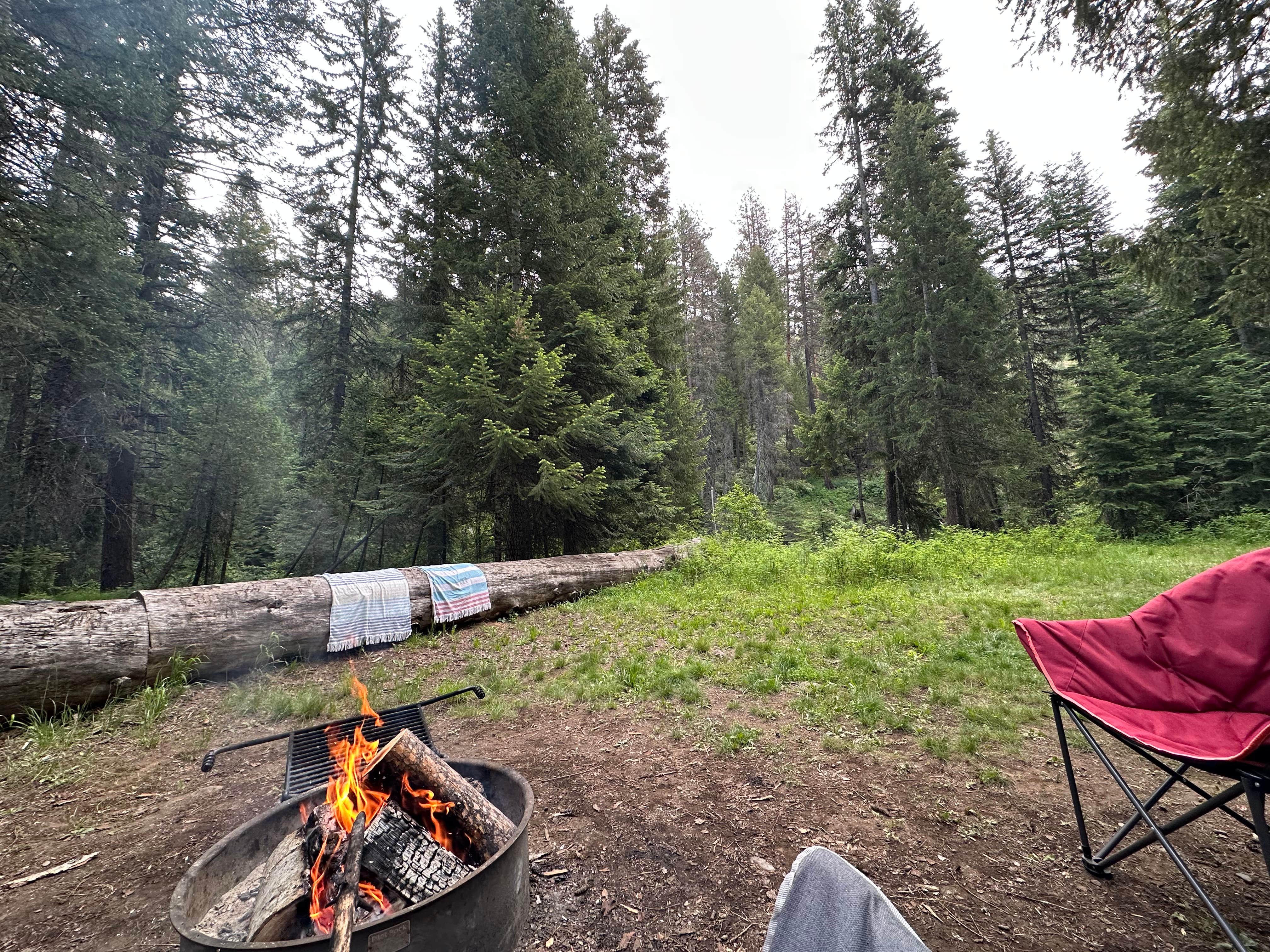 Camper submitted image from Blackhorse Campground - 1
