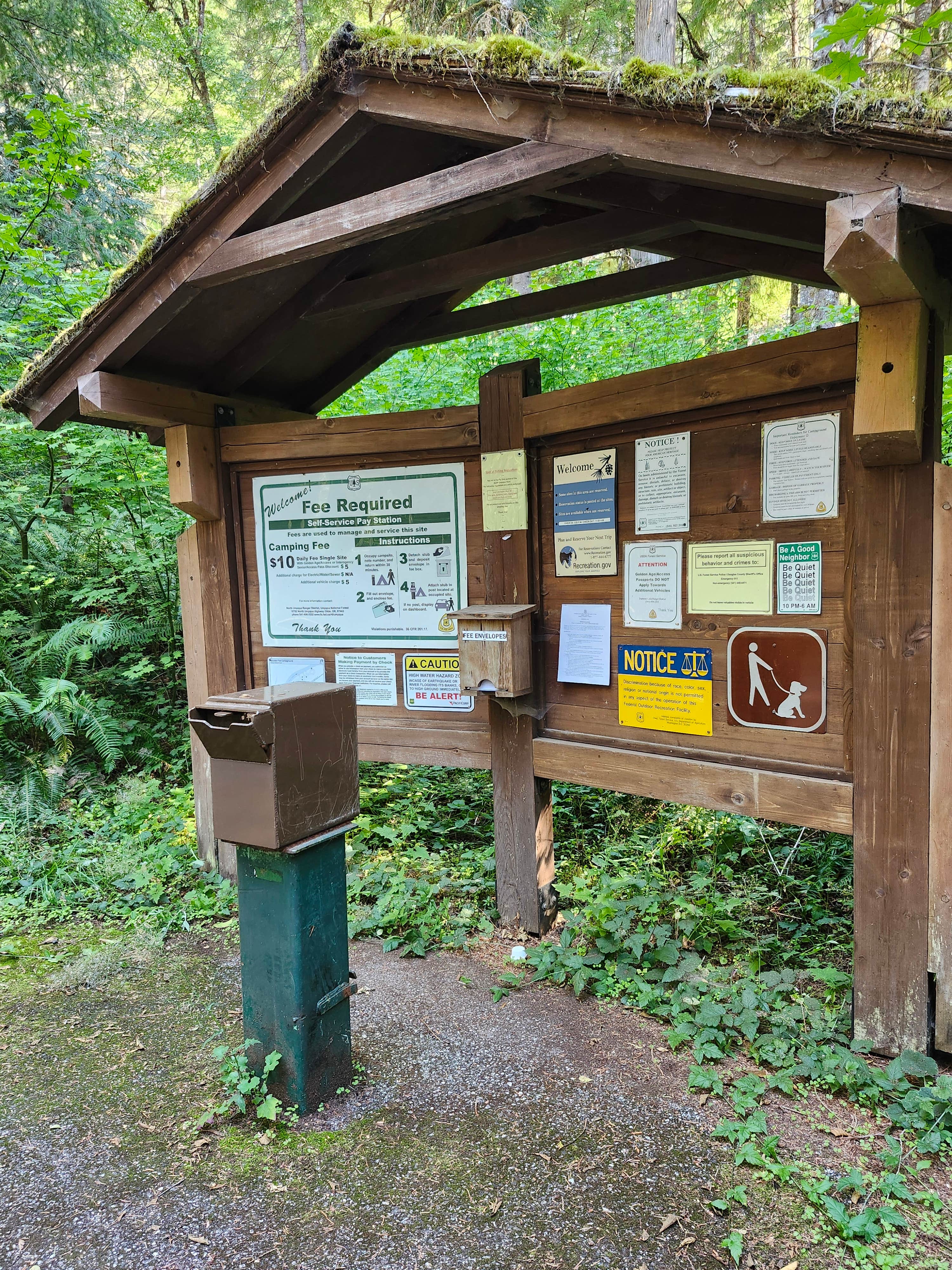 Camper submitted image from Boulder Flat Campground - 4