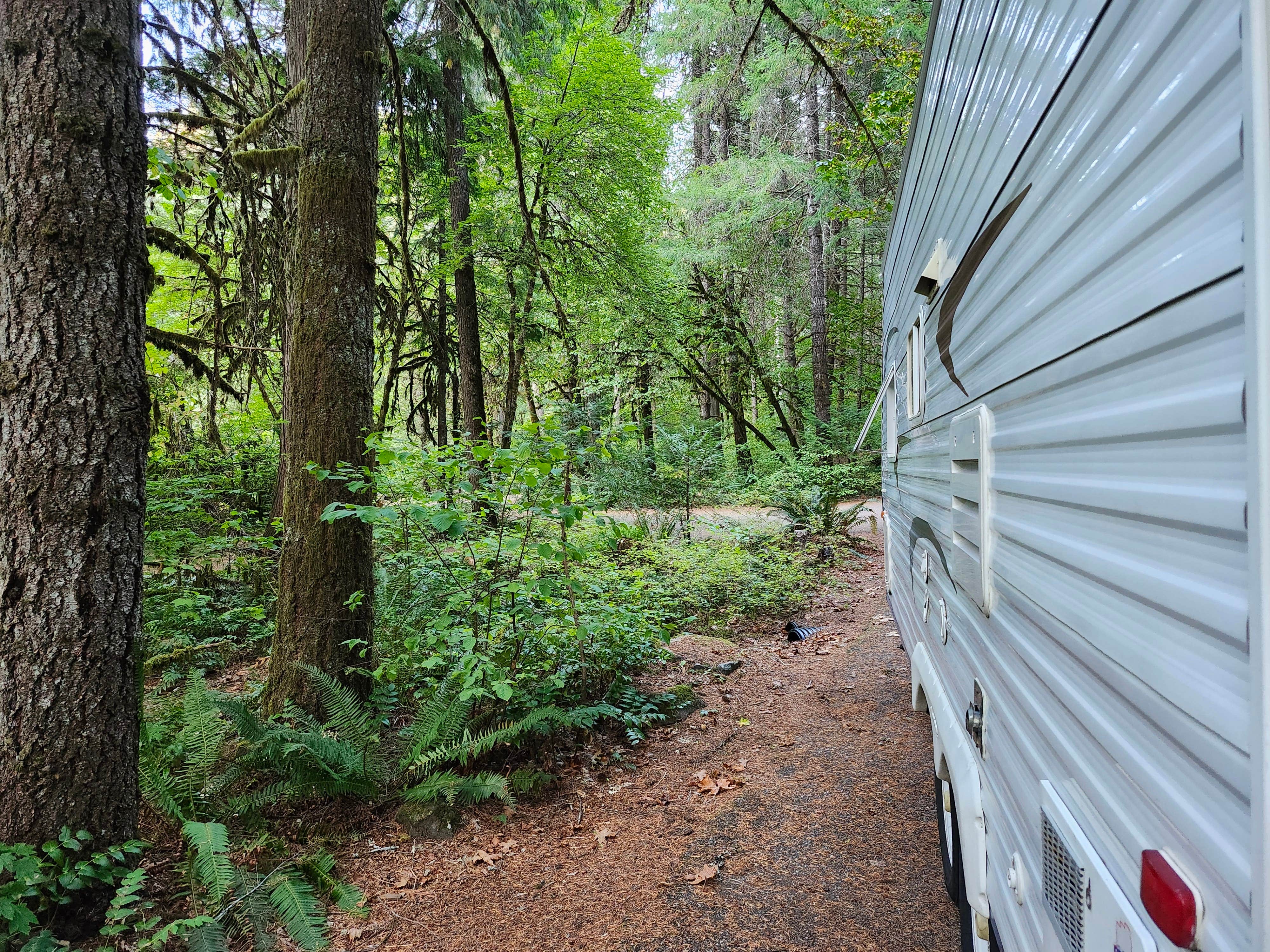 Camper-submitted photo at Boulder Flat Campground near Umpqua National Forest