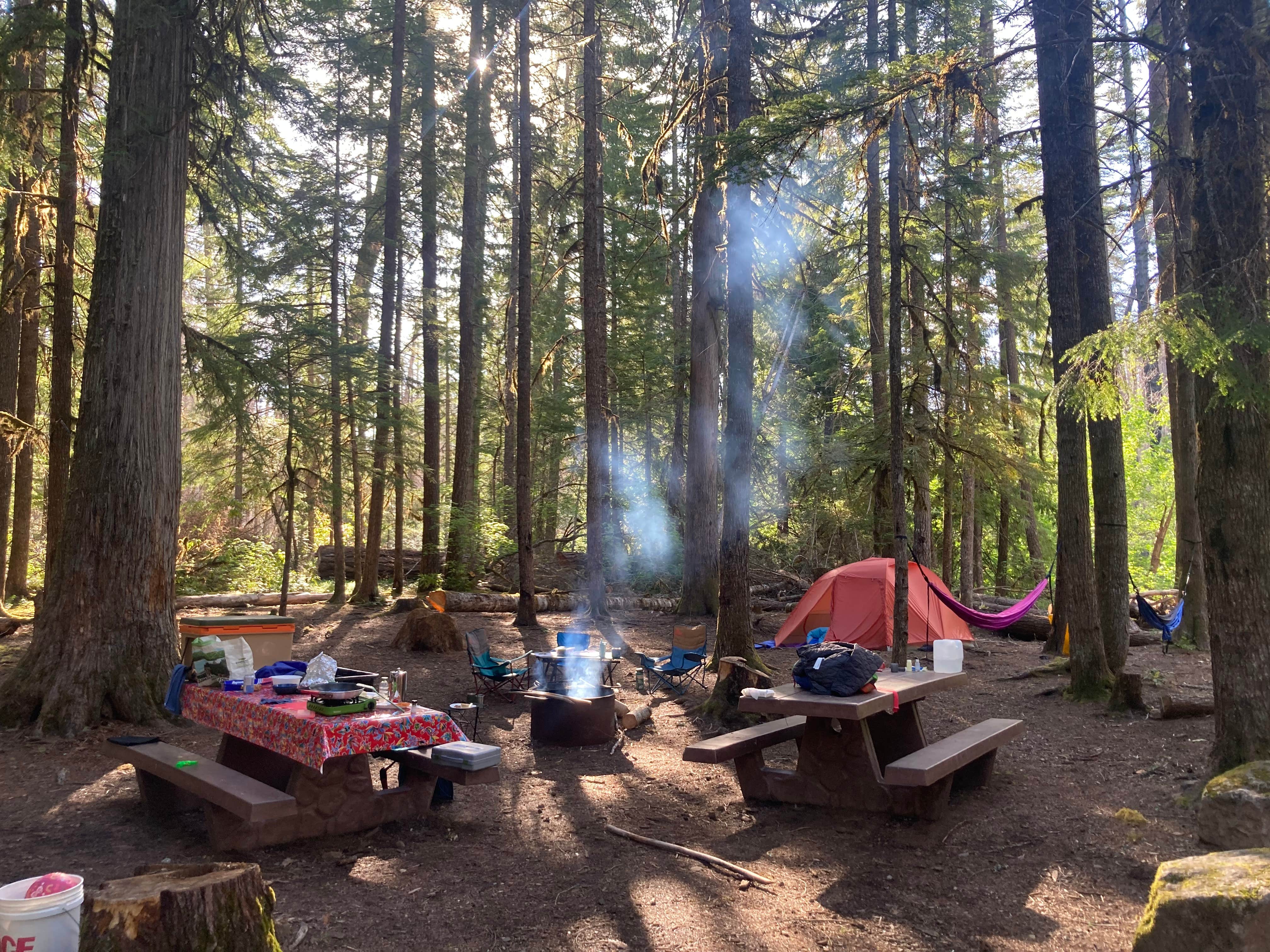Camping near Lower Lake (Olallie) Campground: Breitenbush Campground, Idanha, Oregon