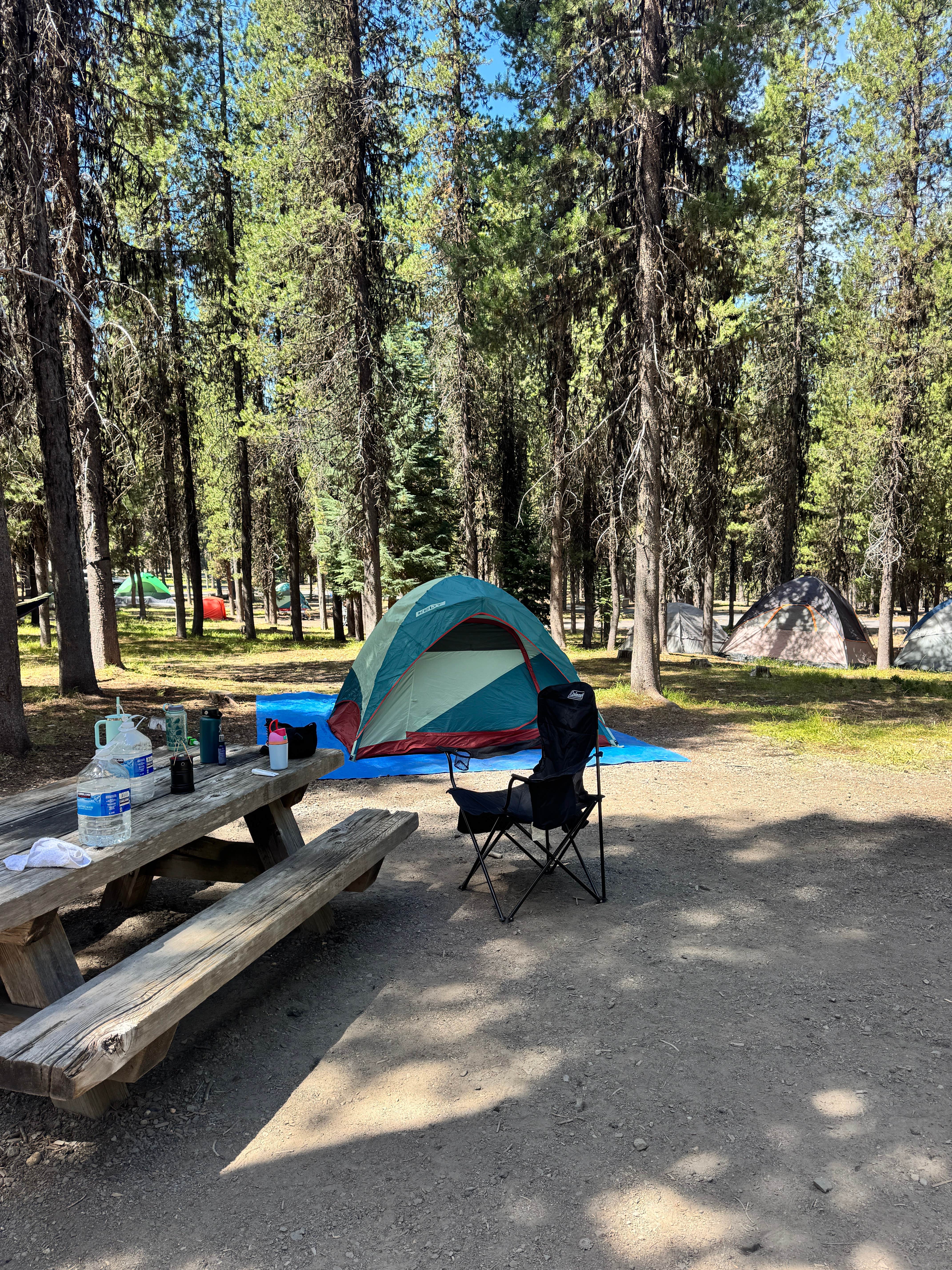 Name's photo at Broken Arrow Campground near Chemult, OR