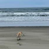 Review photo of Bullards Beach State Park Campground by Jennifer C., May 18, 2025