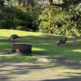 Review photo of Bullards Beach State Park Campground by Teresa A., January 6, 2026