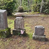 Review photo of Bullards Beach State Park Campground by Rachel G., June 7, 2025