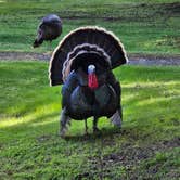 Review photo of Bullards Beach State Park Campground by Rachel G., June 7, 2025