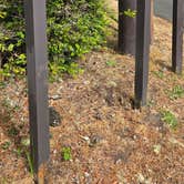 Review photo of Bullards Beach State Park Campground by Charlene H., July 8, 2026
