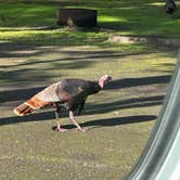 Review photo of Bullards Beach State Park Campground by Teresa A., January 6, 2026