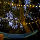 Review photo of Bullards Beach State Park Campground by Grace A., August 17, 2025