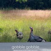 Review photo of Bullards Beach State Park Campground by Kandi R., June 27, 2025