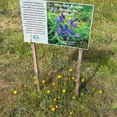 Review photo of Bullards Beach State Park Campground by Kandi R., June 27, 2025