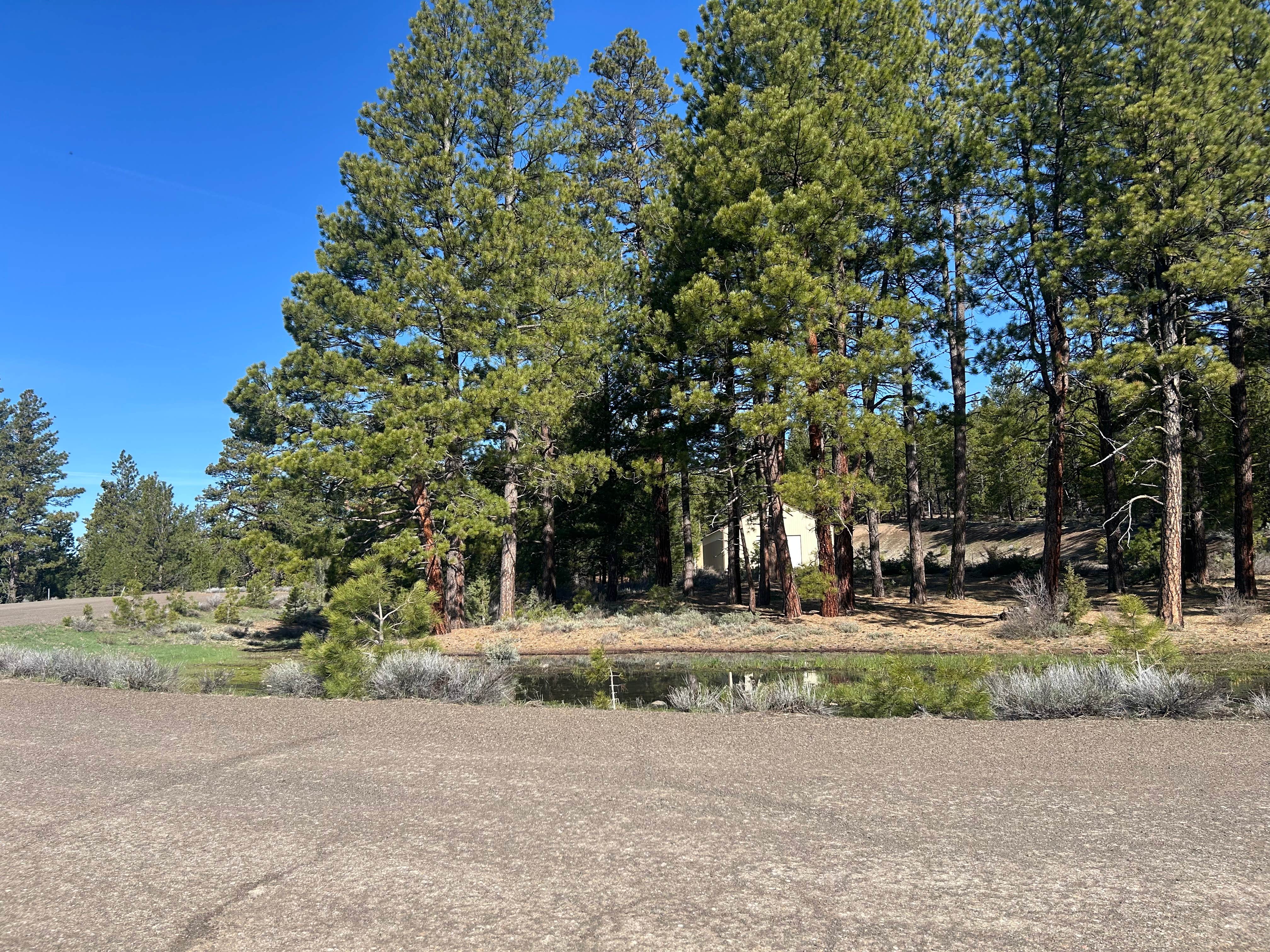 Camping near Mud Creek Campground: Camas Sno-Park, Lakeview, Oregon
