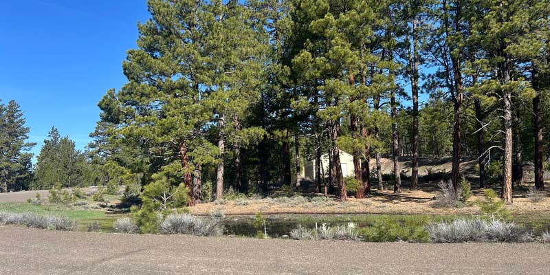 Camper submitted image from Camas Sno-Park