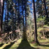 Review photo of Camp Creek by Lainey P., September 20, 2025