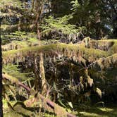 Review photo of Camp Creek by Lainey P., September 20, 2025