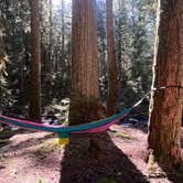 Review photo of Camp Creek by Lainey P., September 20, 2025