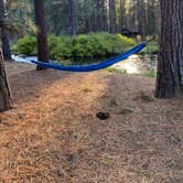 Review photo of Camp Sherman Campground by brenna C., October 3, 2023