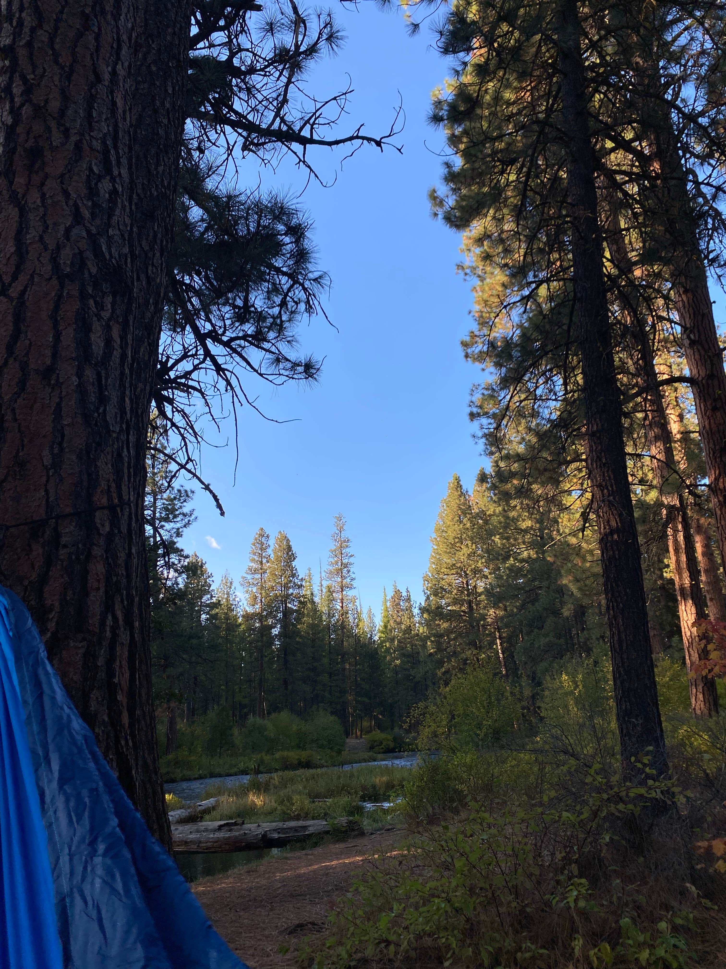 brenna C.'s photo at Camp Sherman Campground near Camp Sherman, OR