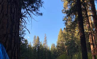 brenna C.'s photo at Camp Sherman Campground near Camp Sherman, OR