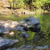 Review photo of Canton Creek Campground by Ronnette G., June 13, 2025