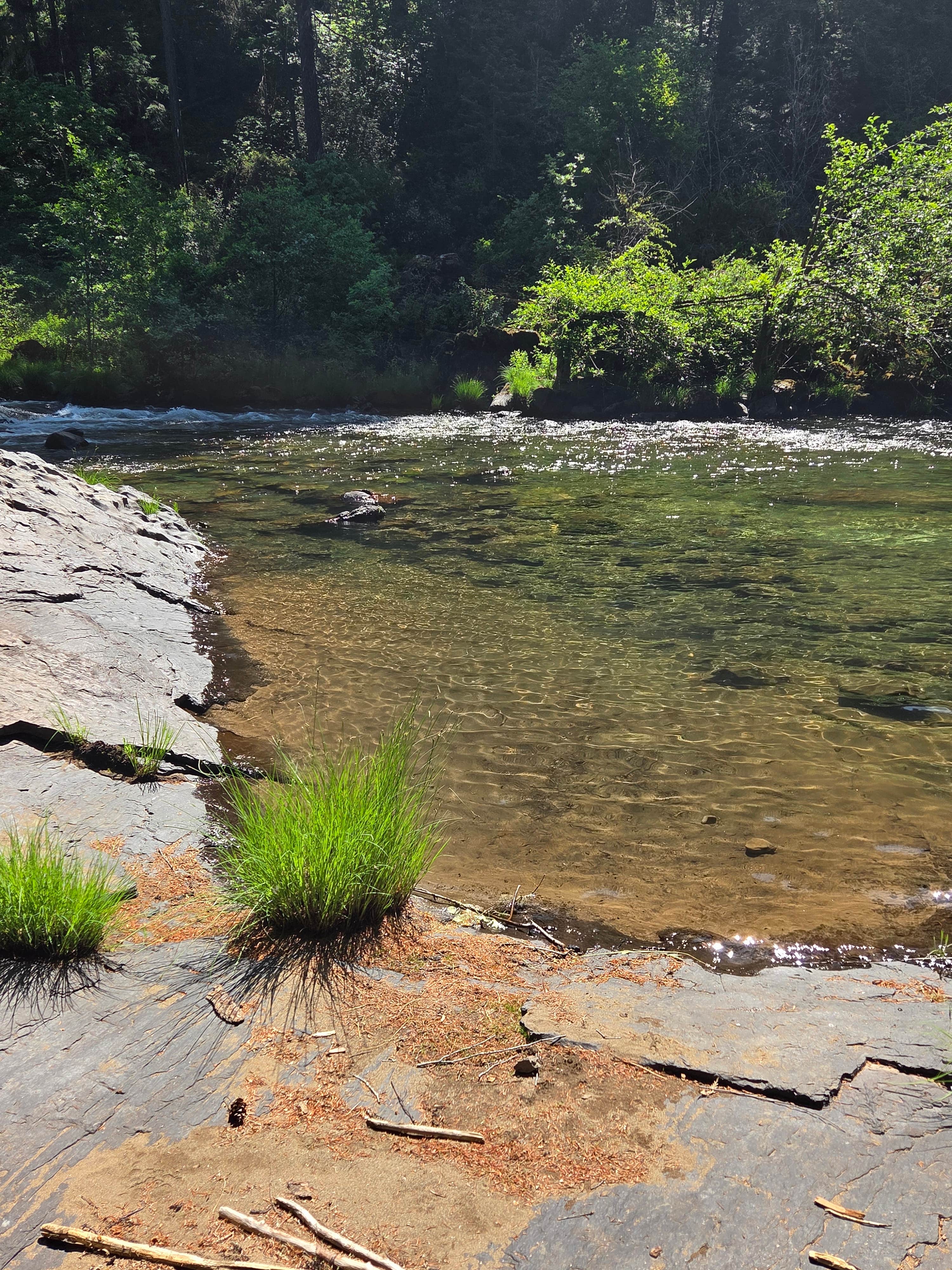 Camper submitted image from Canton Creek Campground - 3