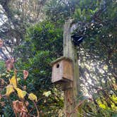 Review photo of Cape Blanco State Park Campground by Brandon K., October 4, 2024