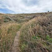 Review photo of Cape Blanco State Park Campground by K. K., July 15, 2026