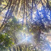 Review photo of Cape Blanco State Park Campground by Lainey P., August 21, 2026