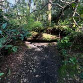 Review photo of Cape Lookout State Park Campground by Lainey P., June 28, 2026
