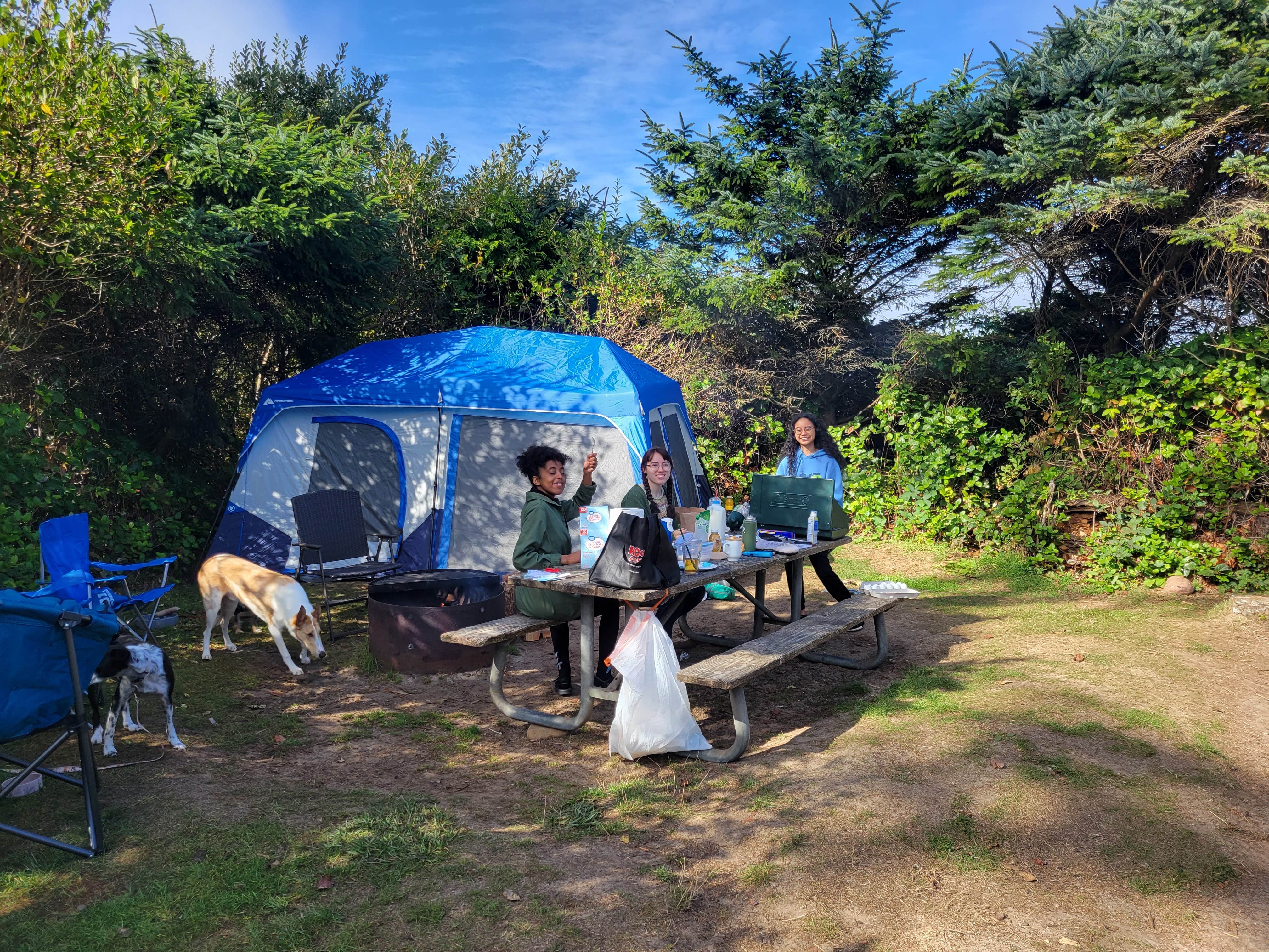 Alix J.'s photo of camping with pets at Cape Lookout State Park Campground near Neotsu, OR
