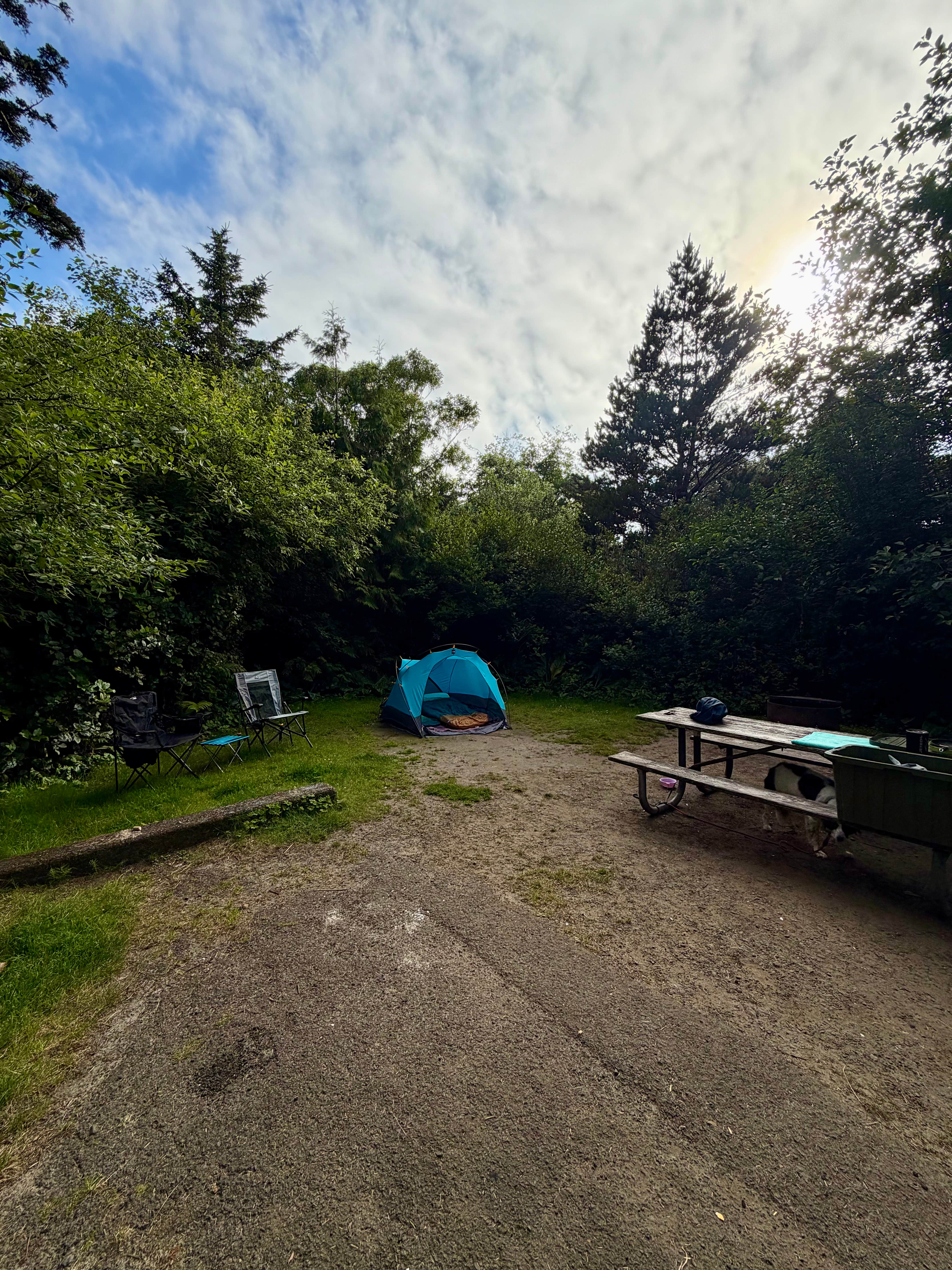 Megan C.'s photo at Cape Lookout State Park Campground near Netarts, OR