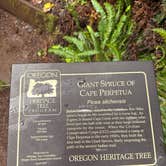 Review photo of Cape Perpetua by Kylee R., September 29, 2026