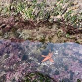 Review photo of Cape Perpetua by Kylee R., September 29, 2026