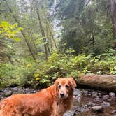 Review photo of Cape Perpetua by Kylee R., September 29, 2026