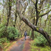 Review photo of Carl G. Washburne Memorial State Park Campground by Jennifer A., March 18, 2024