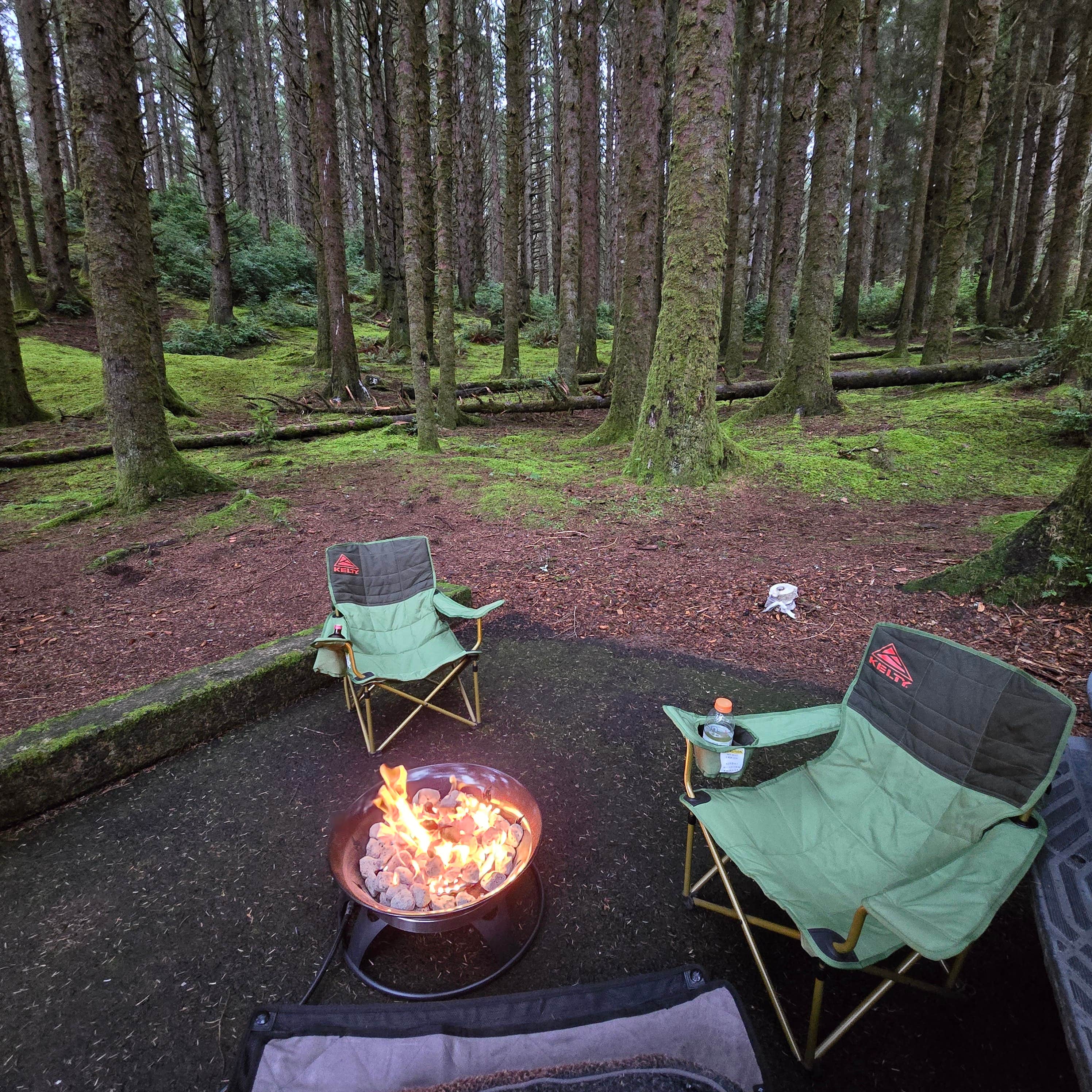 Jennifer A.'s photo of camping with pets at Carl G. Washburne Memorial State Park Campground near Yachats, OR