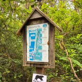 Review photo of Carl G. Washburne Memorial State Park Campground by Laura H., June 23, 2025