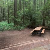 Review photo of Carl G. Washburne Memorial State Park Campground by cheryl , November 20, 2025