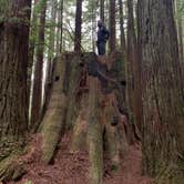 Review photo of Carl G. Washburne Memorial State Park Campground by cheryl , November 20, 2025